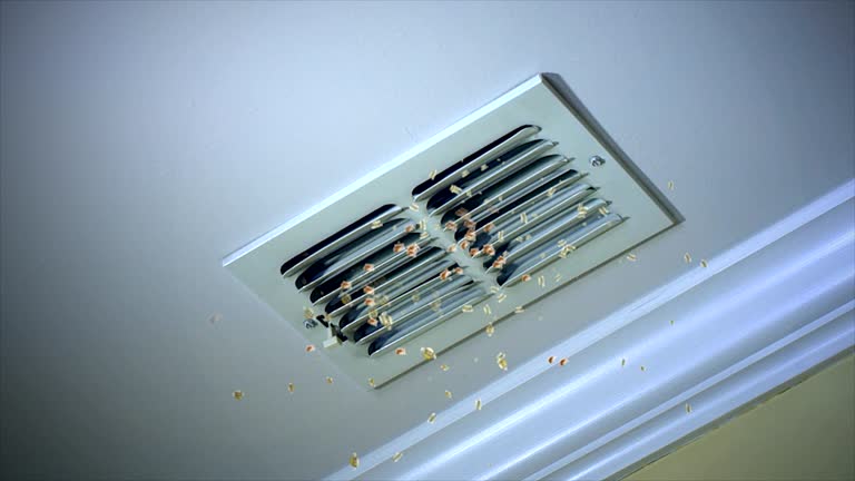 Best HVAC Air Duct Cleaning  in La Blanca, TX
