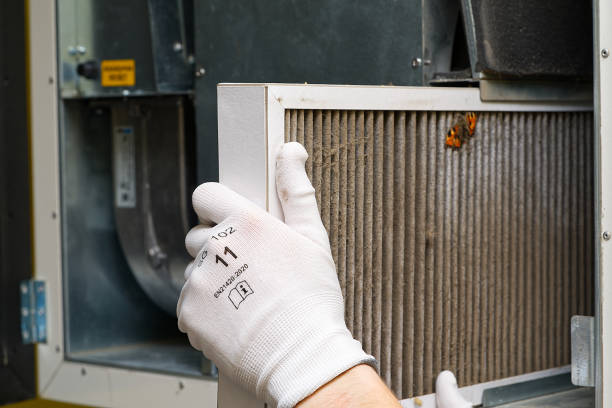 Best Dryer Vent Cleaning Services  in La Blanca, TX