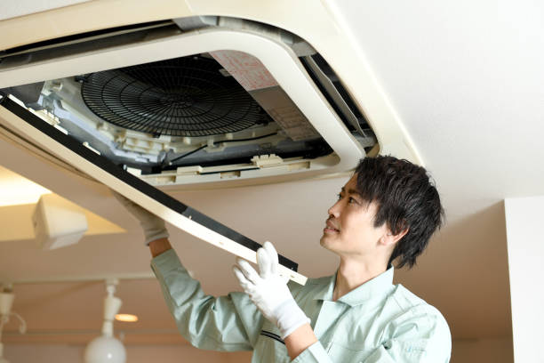 Best Professional Duct Cleaning Services  in La Blanca, TX