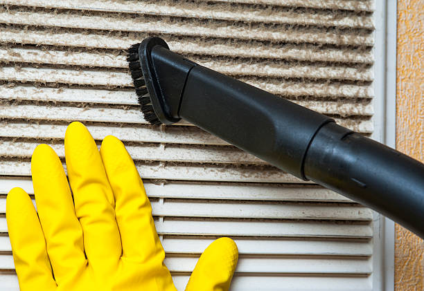 Best Residential Air Duct Cleaning  in La Blanca, TX
